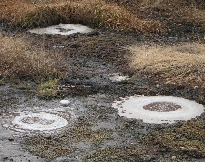 Mofetten nahe des tschechischen Flusses Plesná. Aus den kleinen Öffnungen im Boden tritt Kohlendioxidgas aus, das aus Magmakammern des Erdmantels oder der Erdkruste stammt. 