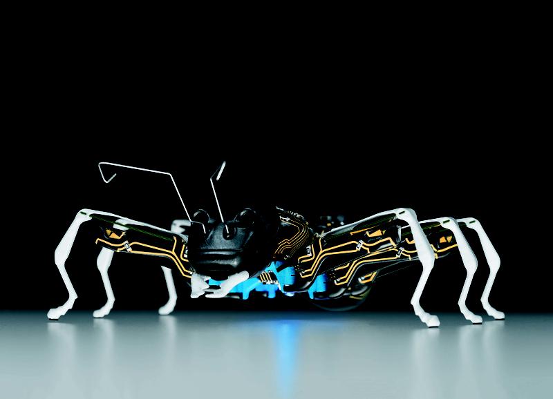 Die BionicANTs ähneln dem natürlichen Vorbild. Die komplexe Regelungstechnik, die ihnen zugrunde liegt, kommt aus Ulm