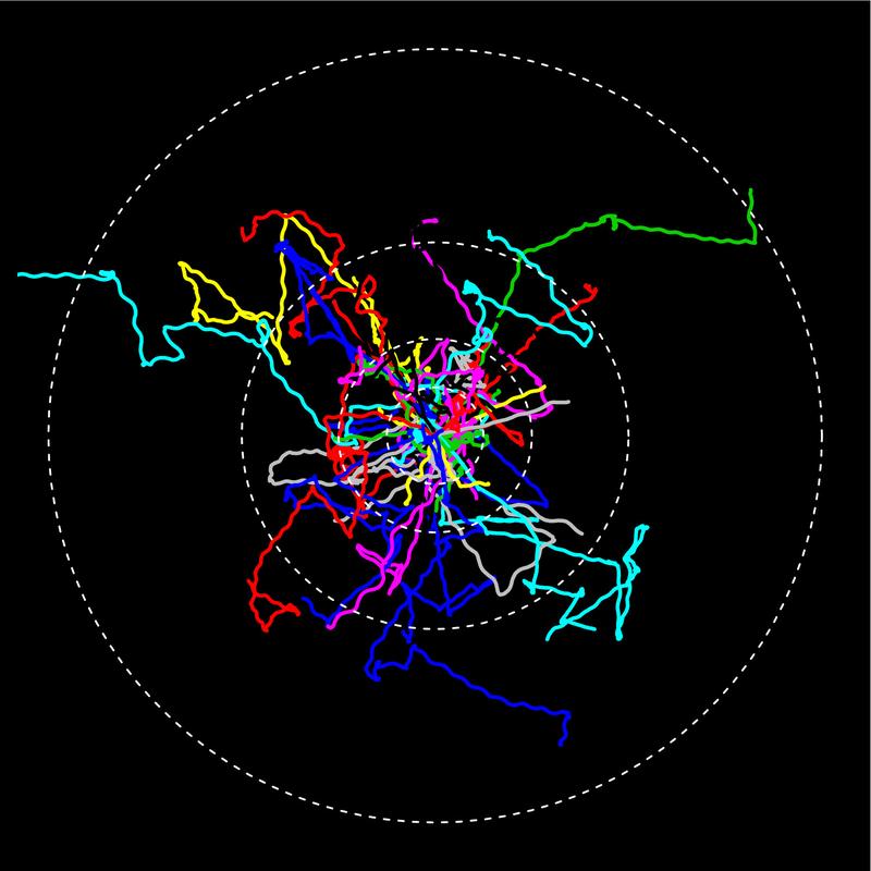 Unter dem Mikroskop aufgezeichnete Fortbewegungspfade von Einzellern. Mit fortschreitender Dauer des Experiments wurden die Bewegungen schneller und die zurückgelegten Distanzen grösser.