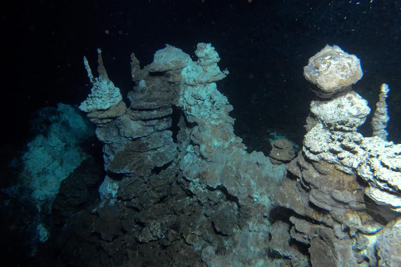 Hier wurden die Loki-Archaeota entdeckt: Am Meeresboden am Mittelatlantischen Rücken in der Nähe von den Hydrothermalquellen Loki's Castle.