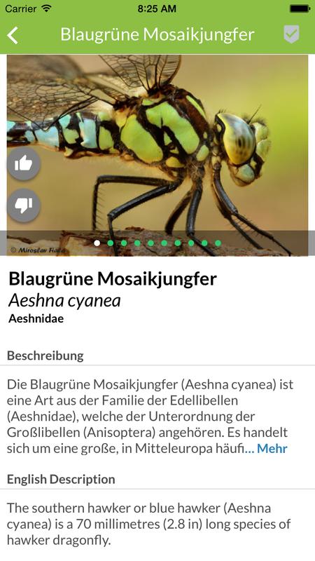 Mehr als ein digitales Nachschlagewerk: Die Map of Life-App 