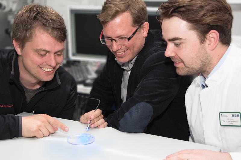 Dr. Tobias Brügmann, Juniorprofessor Dr. Philipp Sasse und Dr. Tobias van Bremen (von links) demonstrieren mit dem Lichtleiter das Funktionsprinzip. 
