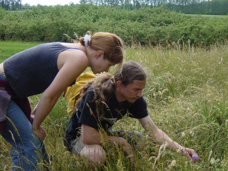 Naturschutzrechtliche Eingriffsregelungen pro Naturschutz und Landschaftspflege