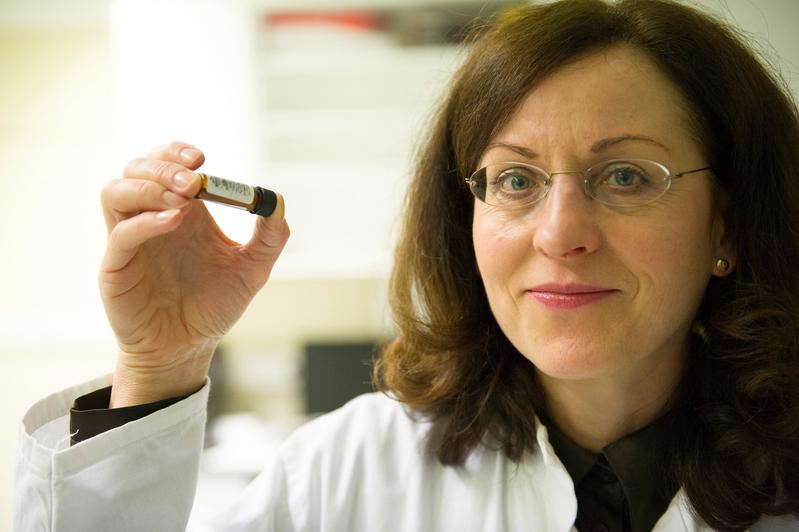 Mit Koffein gegen Stress: Prof. Dr. Christa E. Müller von der Universität Bonn. 