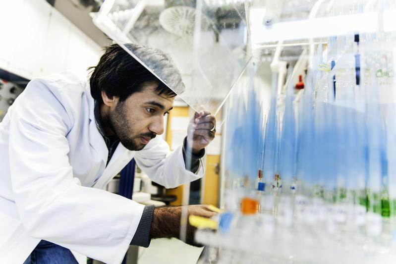 Dr. Hany Dweck mit einer Sammlung von Düften, die für Essigfliegen ökologisch relevant sein können. Er untersucht die Reaktionen von olfaktorischen Nervenzellen auf diese Düfte.