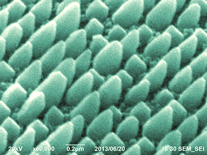 Nanosäulen haben auf gleicher Grundfläche eine größere Oberfläche als Schichten (Rasterelektronenmikroskopie-Aufnahmen in Aufsicht und Seitenansicht).