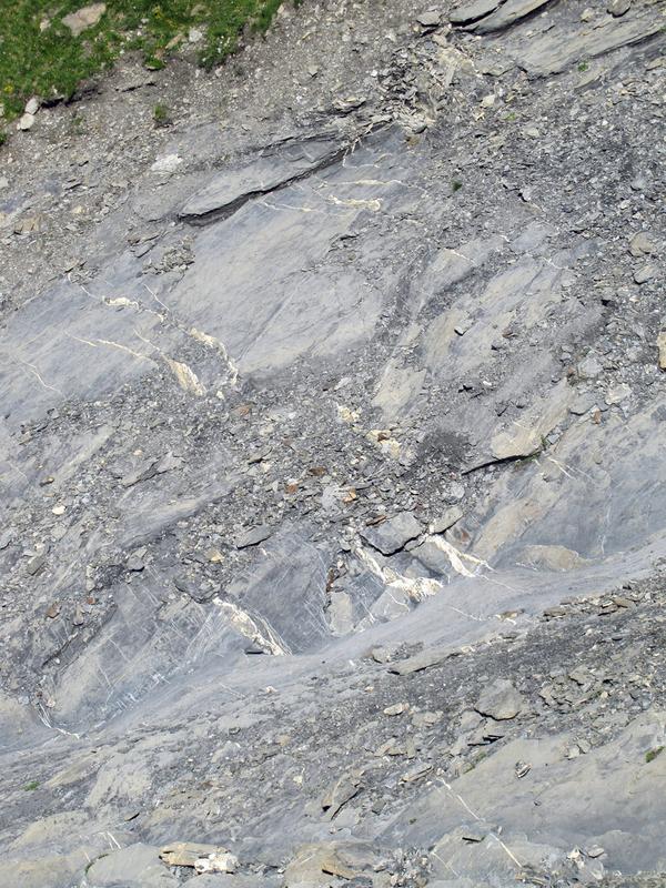 Blick ins Erdbebenarchiv: Die weissen Mineraladern weisen auf ein Megabeben bei der Entstehung der Glarner Alpen hin.