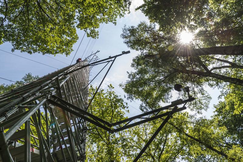Das Wald-Klima-Observatorium in Sachsen-Anhalt ist Teil des europaweiten ICOS-Beobachtungsnetzwerks für Treibhausgase.