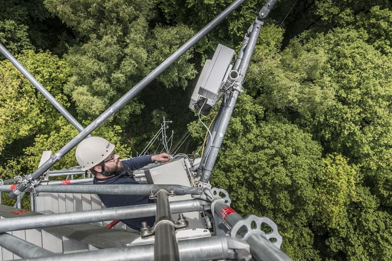 Messungen des Wald-Klima-Observatoriums untersuchen die Zusammenhänge zwischen Vegetation, Wasserhaushalt und Kohlenstoffkreislauf.