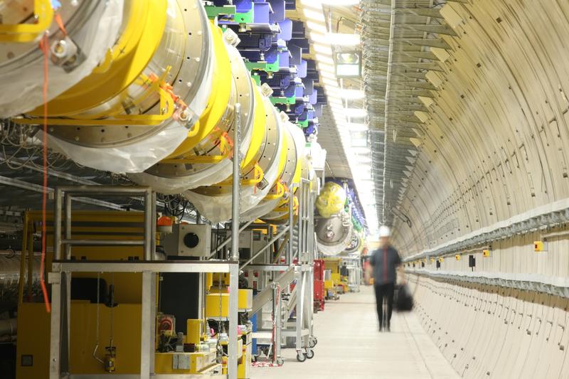 Beschleuniger-Module des Röntgenlasers European XFEL 