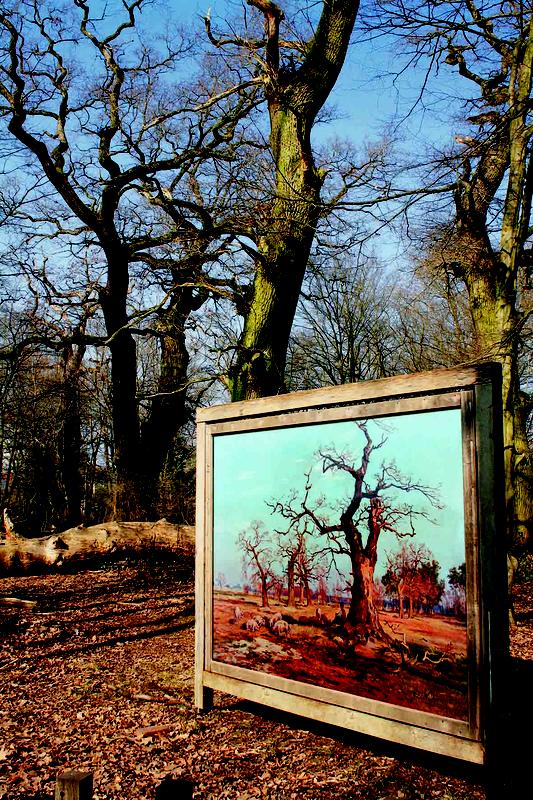 Der Frankfurter Stadtwald – früher und heute: Die Aufgabe der Waldweide führte zum Verlust von Pflanzenarten. 