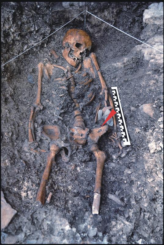 Der Backenzahn gehört  zu dem 14.000 Jahre alten Skelett, das 1988 in der Felshöhle von Riparo Villabruna in Norditalien gefunden wurde.