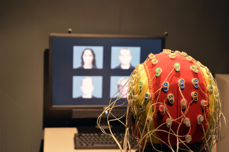 Ein Proband löst eine Gesichtserkennungsaufgabe während die elektrische Aktivität seines Gehirns mittels EEG gemessen wird.