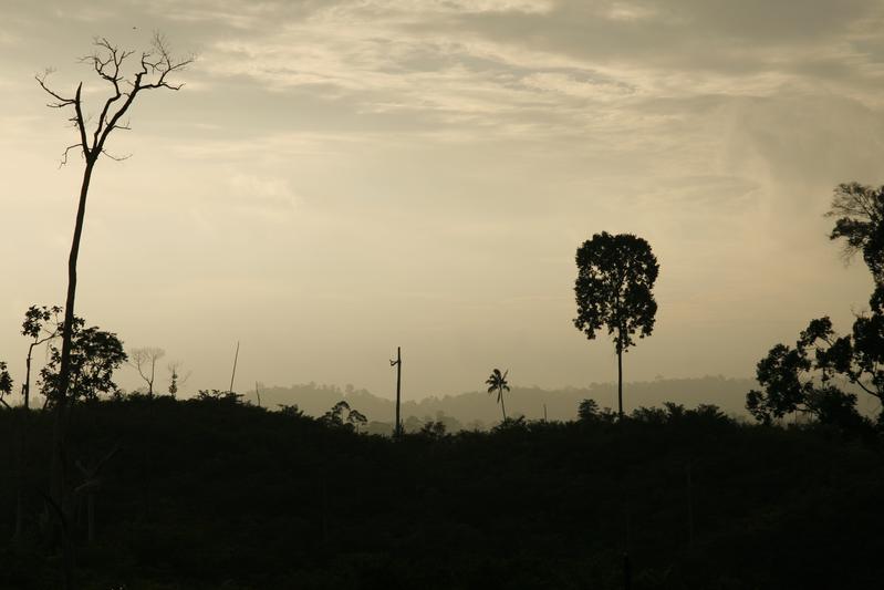 Dusk in a deforested landscape in Jambi Province, Sumatra, Indonesia.
