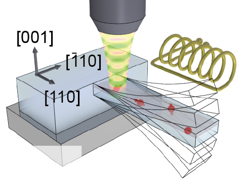 The oscillating resonator influences the electron spin in the nitrogen-vacancy centers (red arrows). Their spin can be efficiently read out by fluorescence microscopy. 