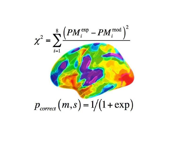 Wissenschaftlern der Universität Basel ist es gelungen, einzelne Gedächtnisprozesse wie Lernen, Erinnern und Vergessen in einem mathematischen Modell zu beschreiben. 