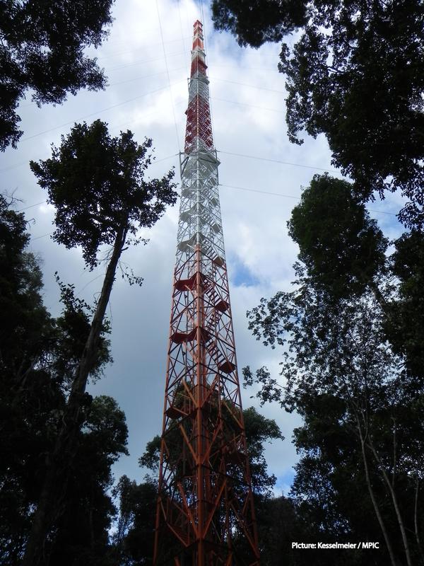 Der 325 Meter hohe ATTO-Turm im brasilianischen Amazonas-Regenwald.