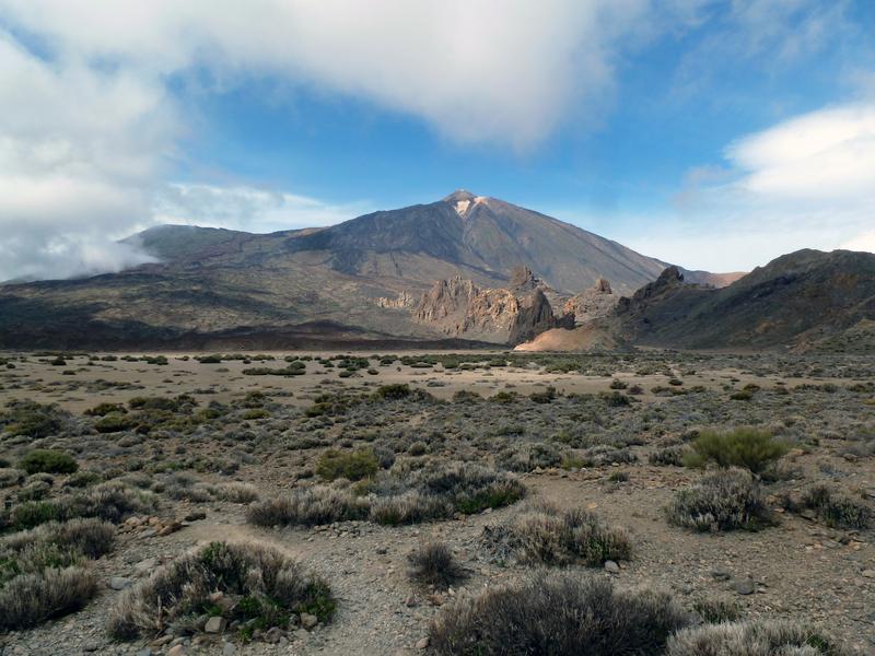 Auf diesem Hochplateau Teneriffas wachsen deshalb so viele Endemiten, weil diese einzigartigen, weit abgelegenen Habitate die Entwicklung ganz spezieller Pflanzenarten förderte. 
