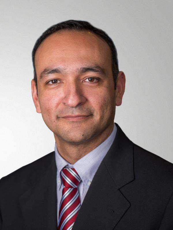 Prof. Dr. Kamyar Sarshar, HSBA Hamburg School of Business Administration