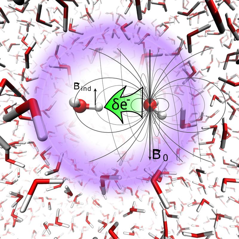 Positiv geladene Wasserstoffatome reagieren mit der negativen Ladung eines Sauerstoffatoms in einem benachbarten Wassermolekül. Die Anziehung kann jetzt erstmalig experimentell bestimmt werden.