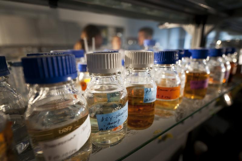 Chemikalien in der Umwelt