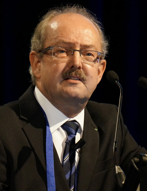 Prof. Dr. Hans-Peter Hammes bei der Camillo Golgi Lecture anlässlich der Preisverleihung. 