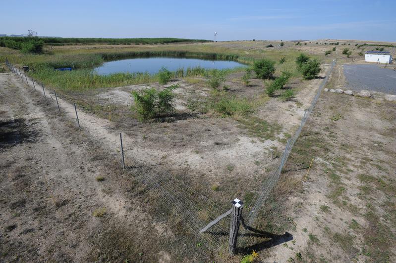 Blick auf das künstliche Wassereinzugsgebiet Hühnerwasser im Tagebau Welzow Süd