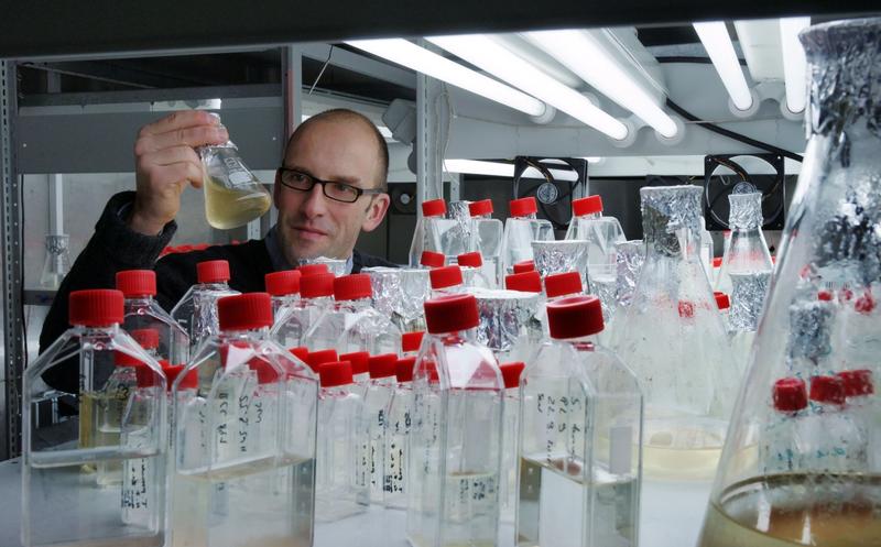 Prof. Dr. Georg Pohnert bei der Überprüfung von Algenkulturen, die in einem speziellen Container der Jenaer Universität gehalten werden. 