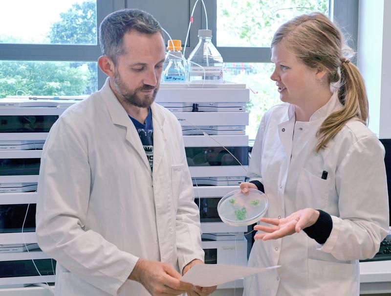 Katharina vom Dorp und Georg Hölzl diskutieren die Ergebnisse ihrer Wachstums-Experimente. 