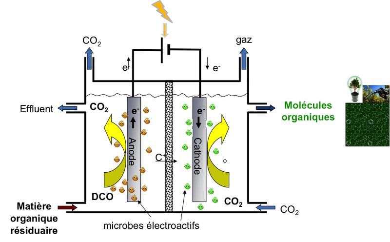 Schema der mikrobiellen Elektrosynthese