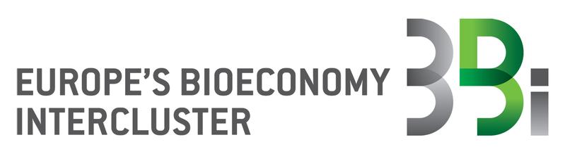 3BI Logo