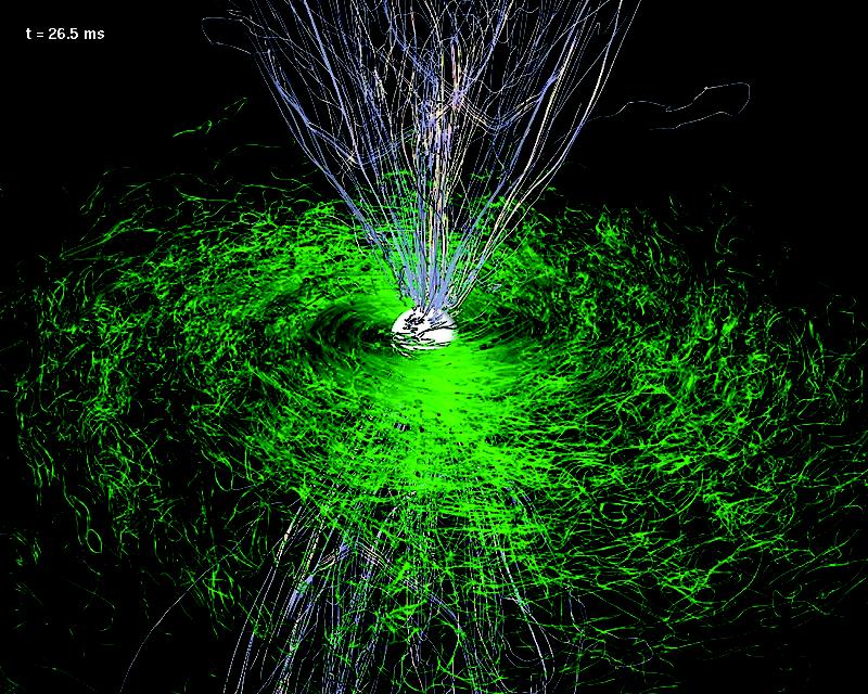 Magnetfeldlinien, nachdem der hypermassive Stern zu einem Schwarzen Loch kollabiert