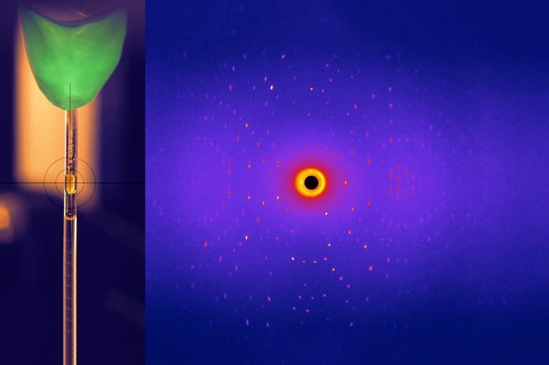 Glykosidasekristall (links), mit seinem Beugungsbild, wie es bei der Neutronenstreuung am Instrument BioDiff entsteht.