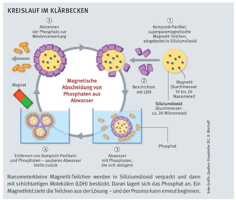 Kreislauf im Klärbecken