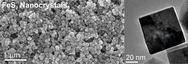 Pyrit-Nanokristalle im Elektronenmikroskop: Aus solchen Kristallen besteht die Kathode der «Katzengold-Batterie» 