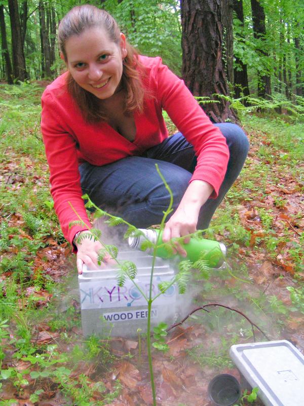 acib-researcher Elisa Lanfranchi searching for fern probes in the woods.