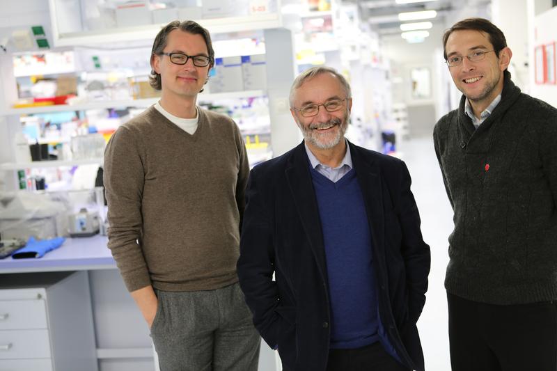Von links: Prof. Dr. Jens Schwamborn (Leiter der LCSB-Gruppe Entwicklungs- und Zellbiologie), Prof. Dr. Rudi Balling (LCSB-Direktor und Koordinator von SysMedPD) und Dr. Ronan Fleming (Lei