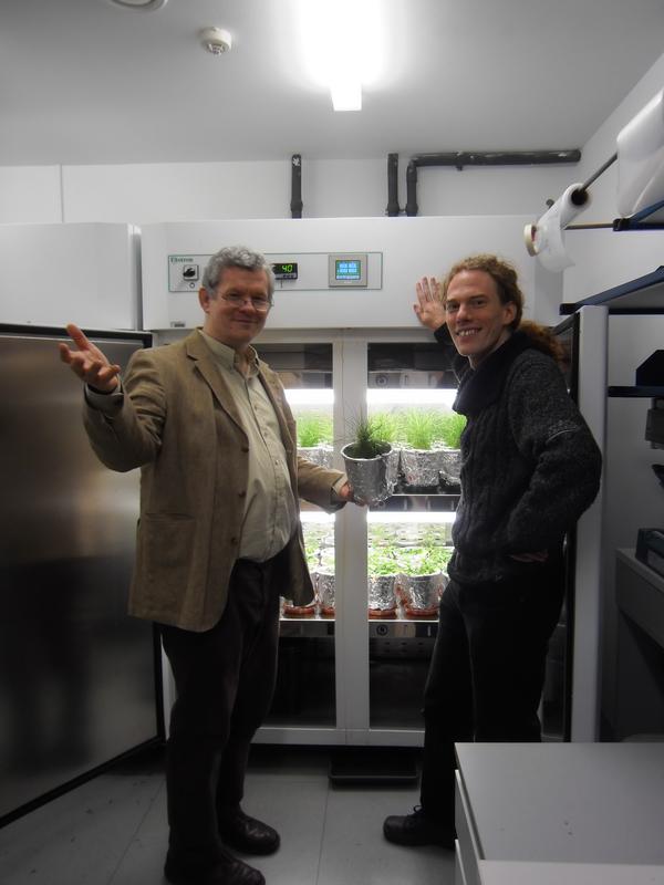 Stephan Krämer erforscht mit Walter Schenkeveld den Effekt von Pflanzen auf Asbestverwitterung.