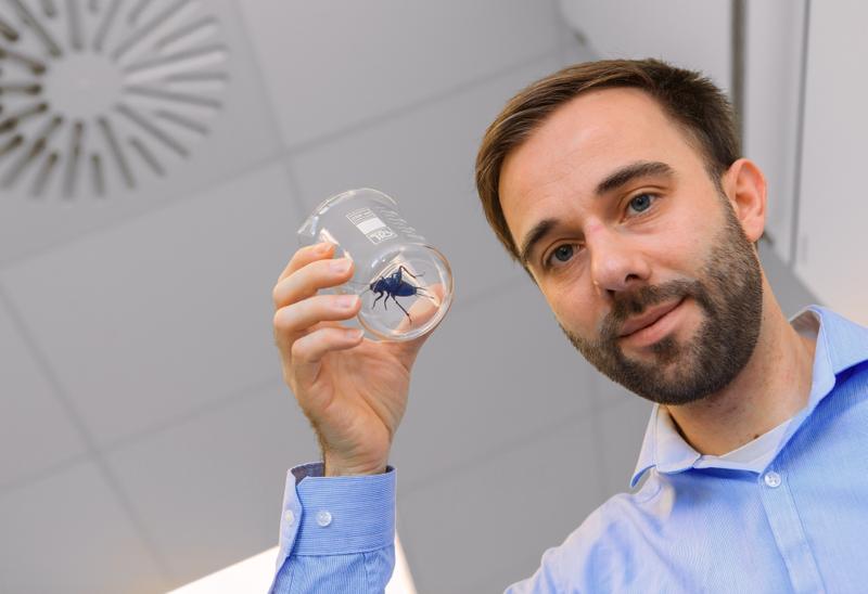 Grillenexperte der Universität Leipzig: Dr. Stefan Schöneich
