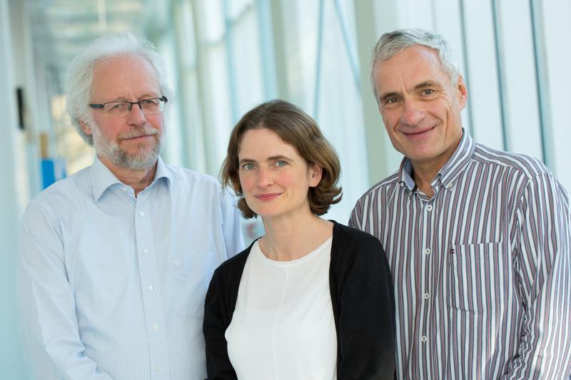 Die Biosensoren-Forschungsgruppe (v.l.): Prof. Klaus Thonke, Prof. Tanja Weil und Prof. Ferdinand Scholz