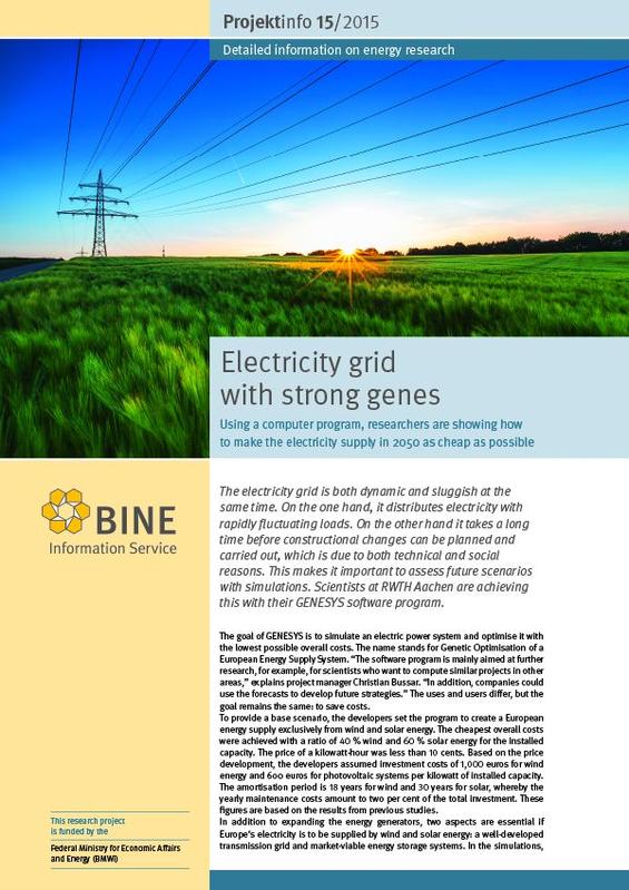 The BINE Projektinfo brochure “Electricity grid with strong genes” (15/2015)