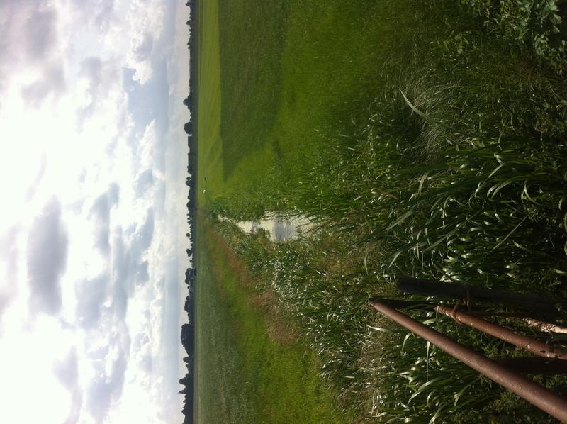 Stream in the Dutch country side where researchers tested their prototype waders