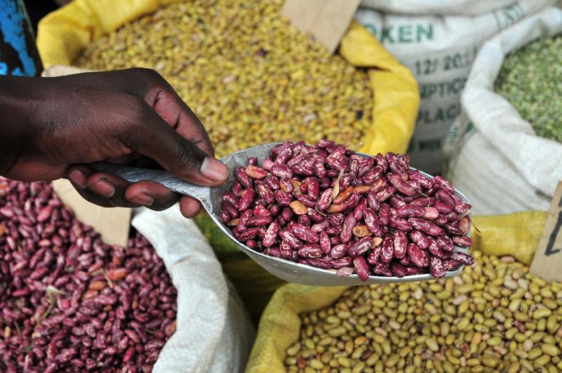 Bohnen sind im Afrika südlich der Sahara besonders vom Klimawandel betroffen:  Ein Forscherteam berechnete, dass dort in bis zu 60 Prozent der Anbaugebiete die Eignung dramatisch sinken wird. 