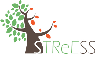 STReESS logo
