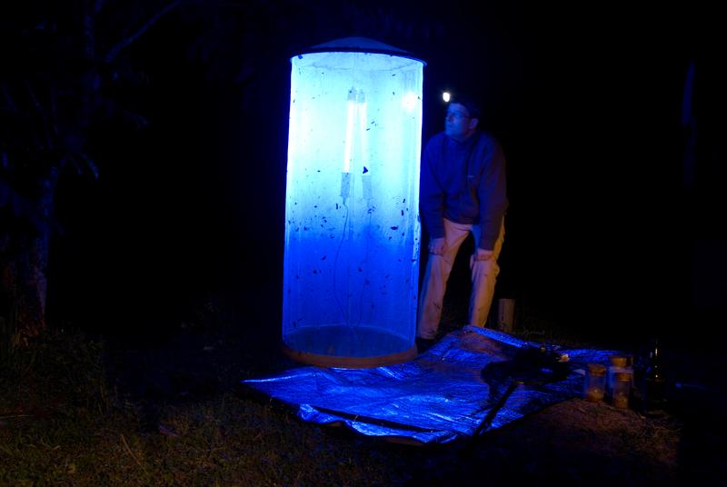 Dr. Gunnar Brehm (University Jena) during a field trip in Ecuador.