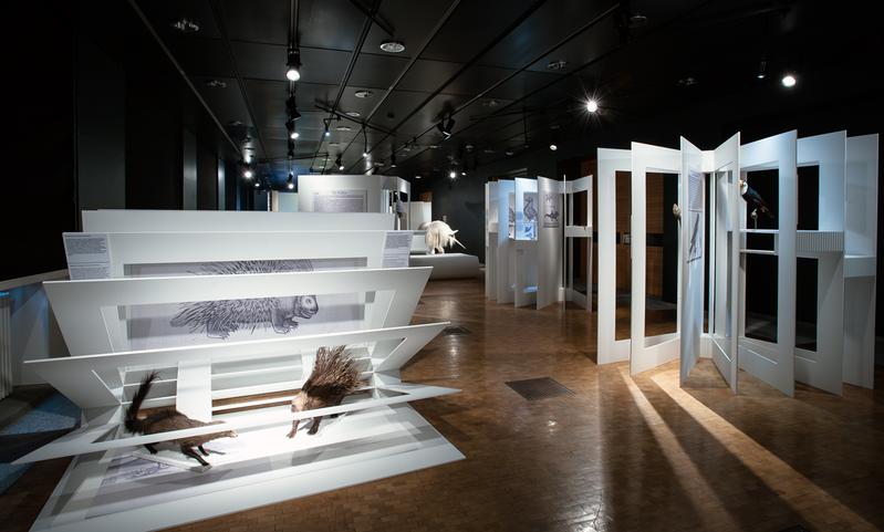 View of the exhibition. The books symbolize Gessner's animal encyclopedia. 