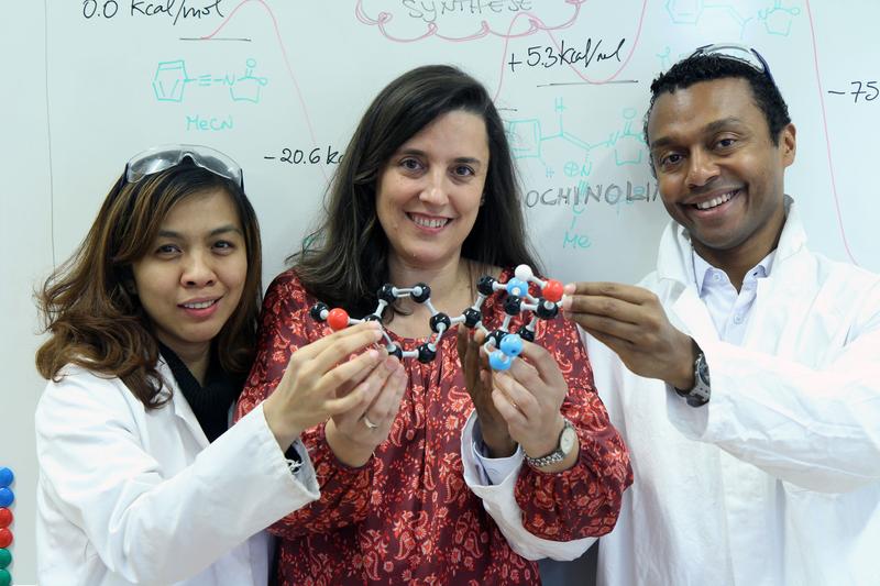Supaporn Niyomchon, Leticia González und Nuno Maulide von der Fakultät für Chemie der Universität Wien.