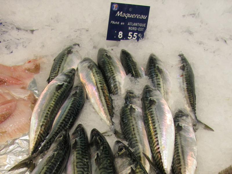 Makrelen in einem französischen Fischgeschäft