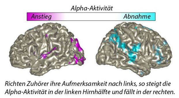 Richten Zuhörer ihre Aufmerksamkeit nach links, so steigt die Alpha-Aktivität in der linken Hirnhälfte und fällt in der rechten