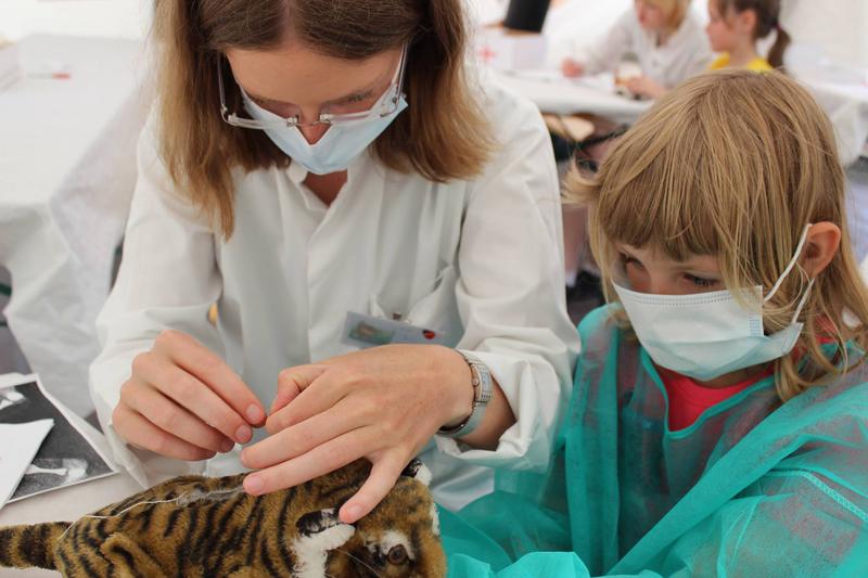 Sprechstunde in der Teddyklinik: Die Medizinstudierenden der Otto-von-Guericke-Universität Magdeburg verarzten am 22. April erstmals auch im Harz erkrankte Puppen und Kuscheltiere.